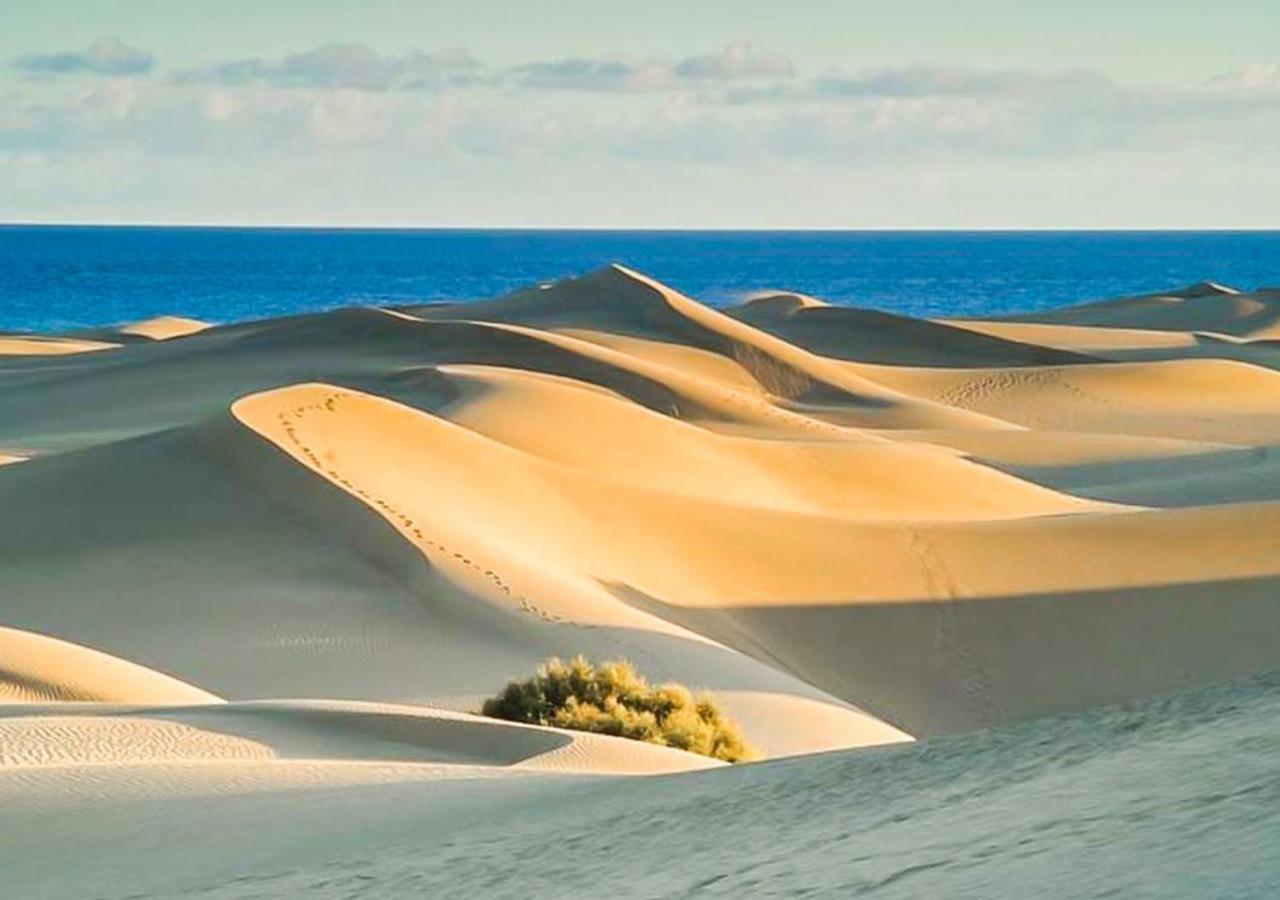 Las Olas Sand Πλάγια ντελ Ινγκλές Εξωτερικό φωτογραφία